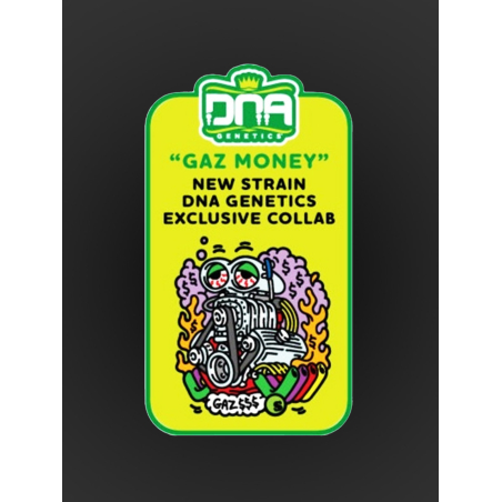 Gaz Money Seeds