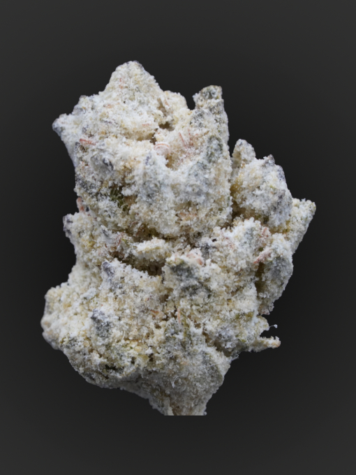 MR. X Powered Donuts