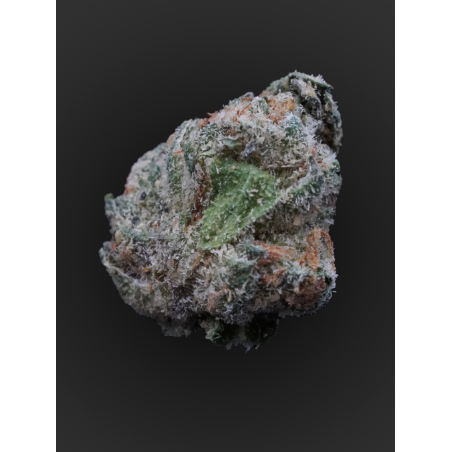 Balller Kush