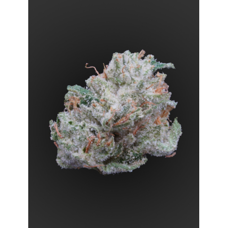 OG Kush