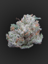 OG Kush
